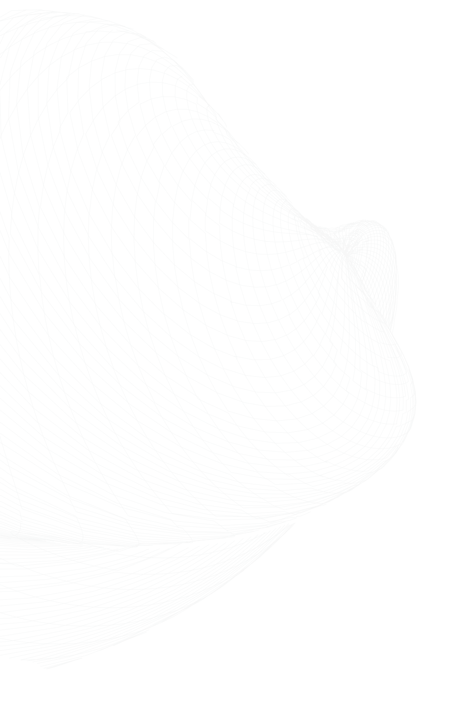 decorative wireframe
